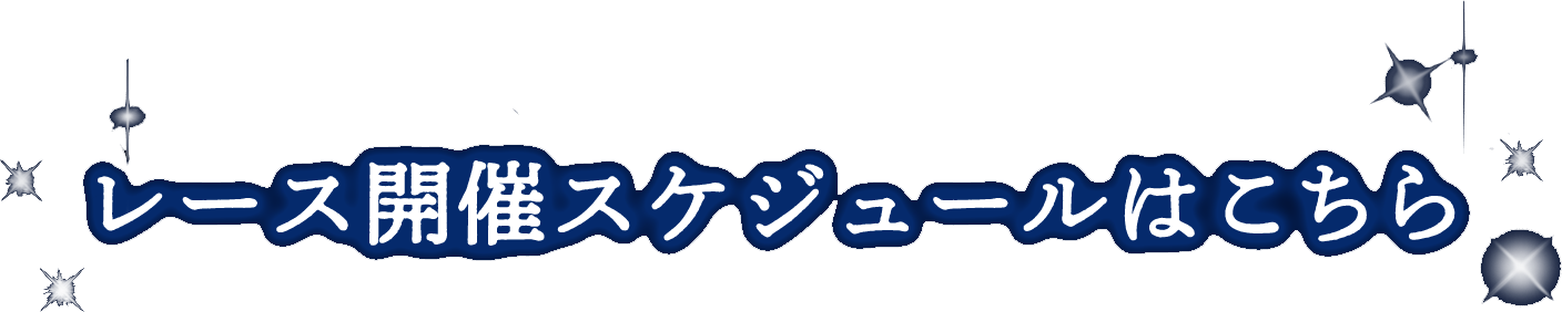 レース開催スケジュールはこちら